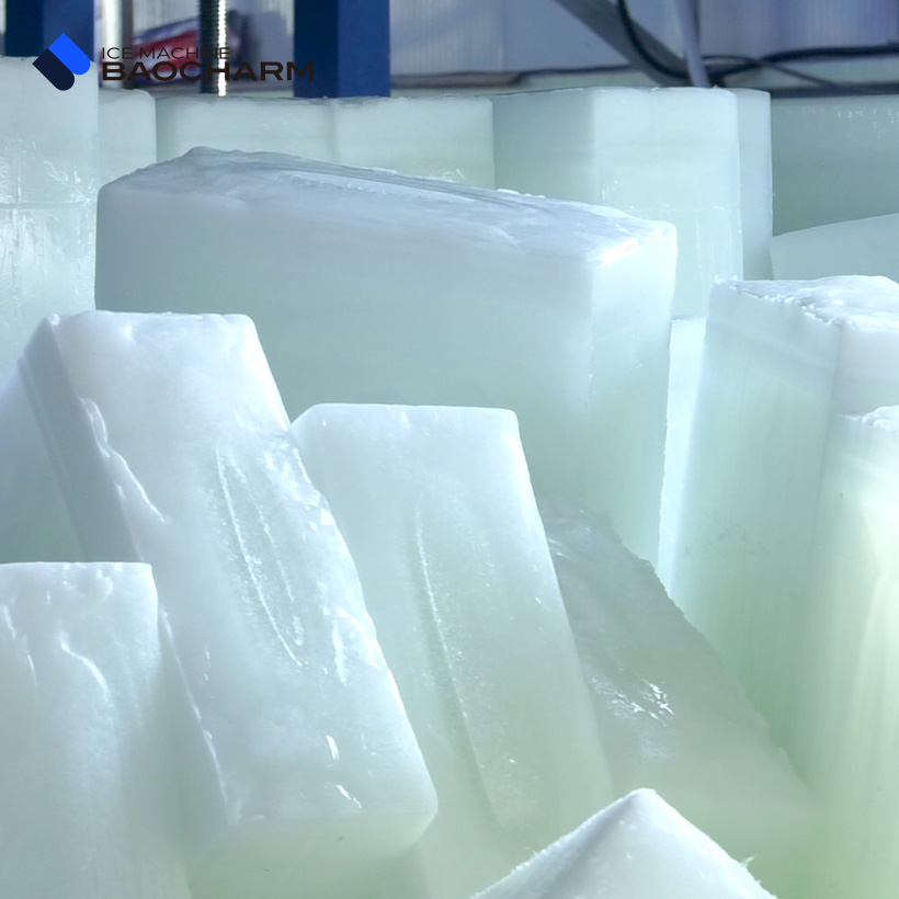 fish ice plant